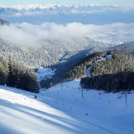 Cosy Studio Near Gondola شقة